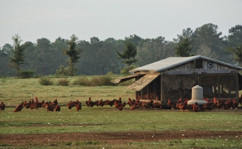 Punya Lahan Kosong? Siap-siap Kena PBB 3 Kali Lipat