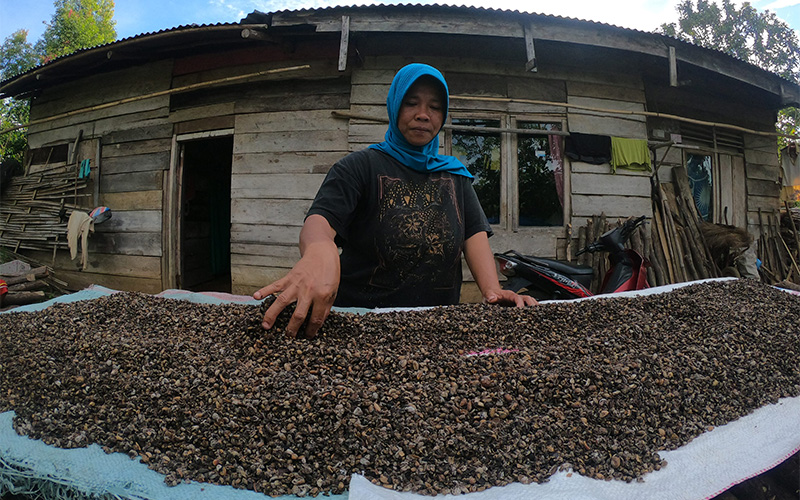 Dibiayai Pajak, Tim Riset Transmigrasi Diminta Bawa Hasil Konkret