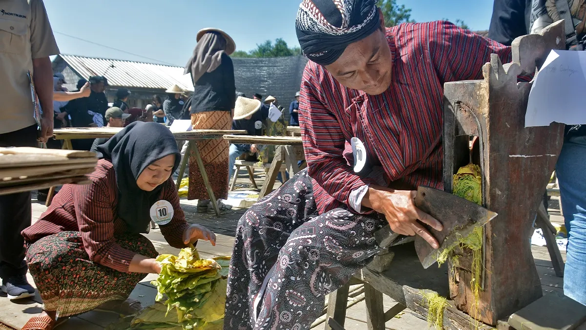 Terbitkan NPPBKC untuk 2 Perusahaan Rokok, DJBC Dorong Legalitas Usaha